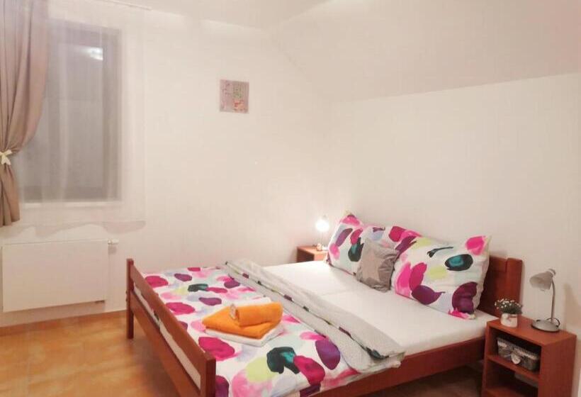 آپارتمان 1 خوابه با چشمانداز باغ, Penzion U Zámeckého Parku