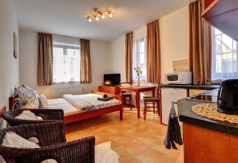 آپارتمان 1 خوابه همکف, Penzion U Zámeckého Parku