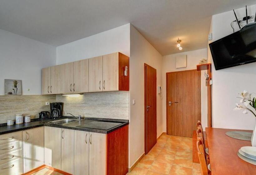 آپارتمان 1 خوابه, Penzion U Zámeckého Parku