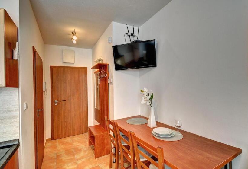 آپارتمان 1 خوابه, Penzion U Zámeckého Parku