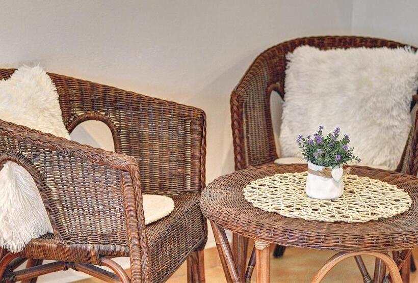 آپارتمان 1 خوابه با بالکن, Penzion U Zámeckého Parku