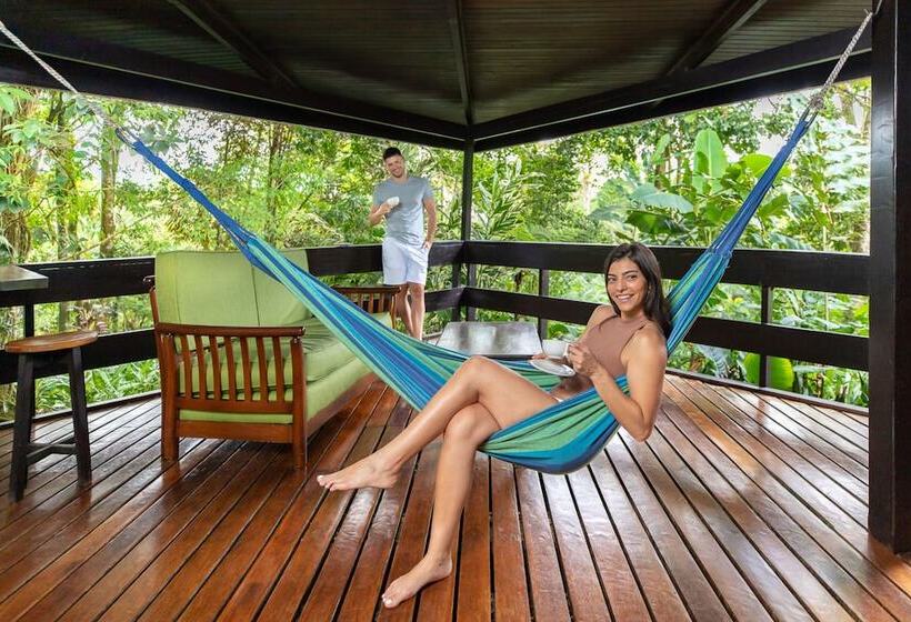 بانگلوی لوکس, Chachagua Rainforest Hotel & Hot Springs