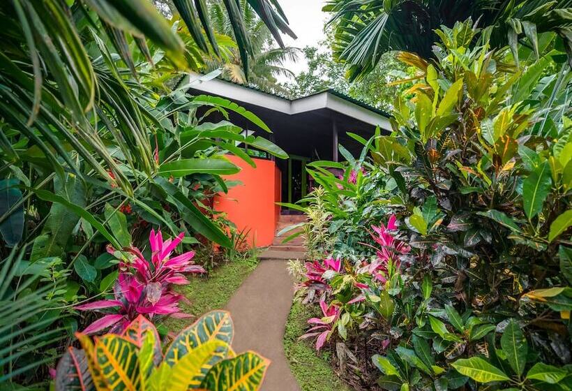 Deluxe Bungalow, Chachagua Rainforest Hotel & Hot Springs