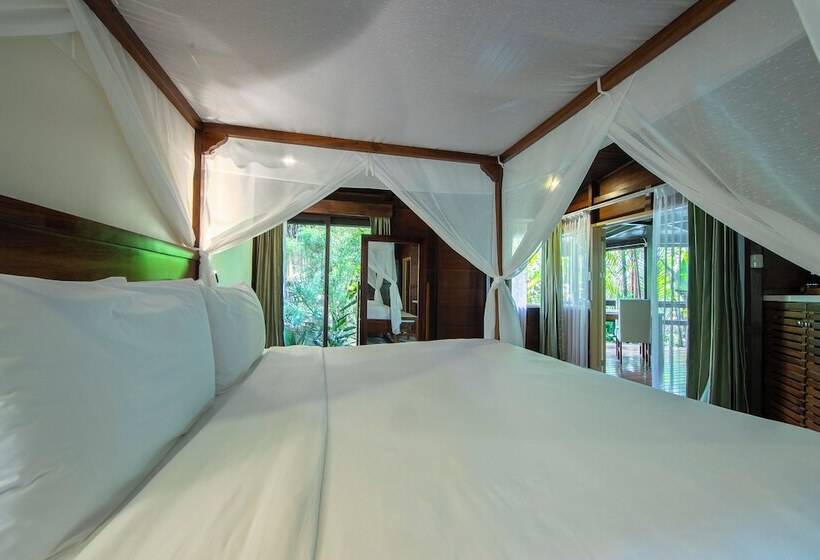 بانگلوی لوکس, Chachagua Rainforest Hotel & Hot Springs