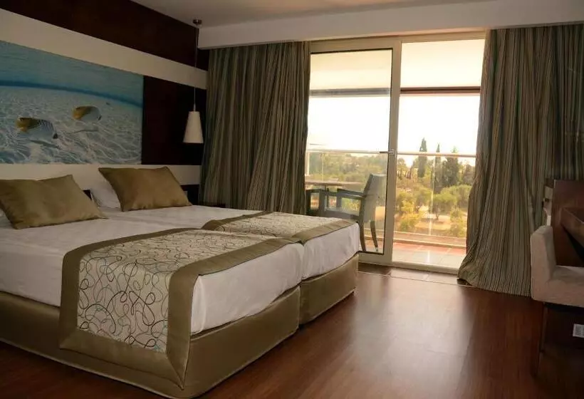 Single Basic Room