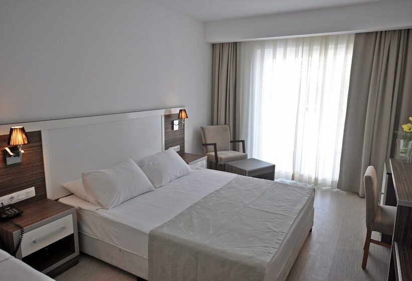 غرفة قياسية, Club Shark