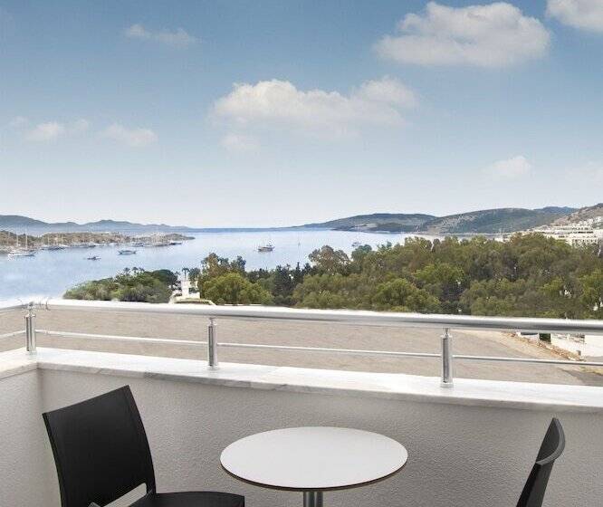 غرفة قياسية, Club Shark