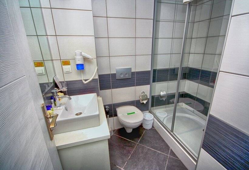 غرفة قياسية, Club Shark