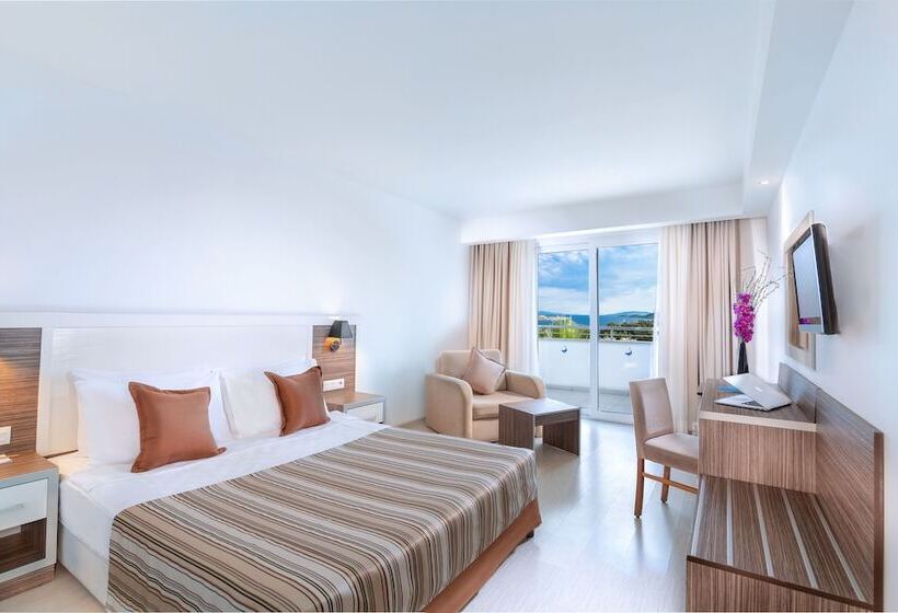 غرفة قياسية فردية, Club Shark