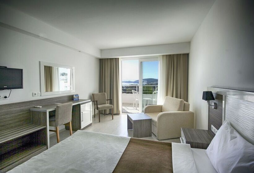 Quarto Estandar Individual, Club Shark