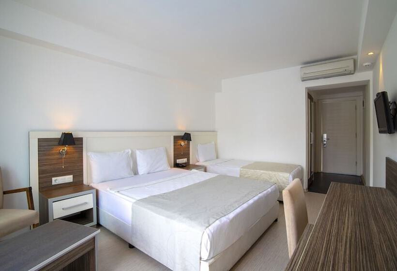 غرفة قياسية ثلاثية, Club Shark