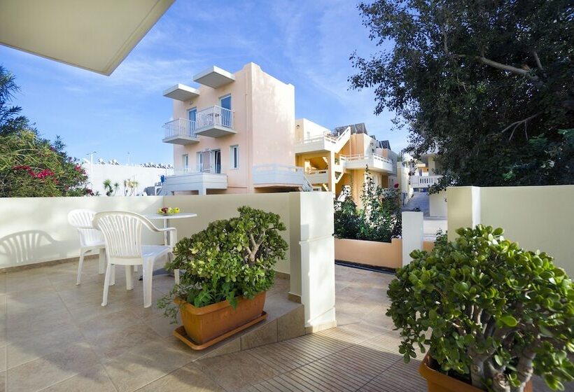 סטודיו אקונומי, Georgina