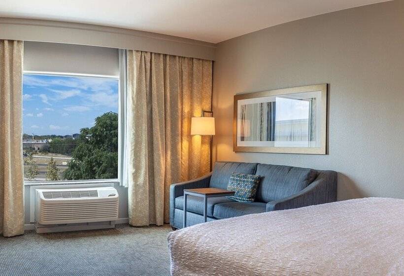 סטודיו סטנדרט, מיטה זוגית, Hampton Inn & Suites Boerne