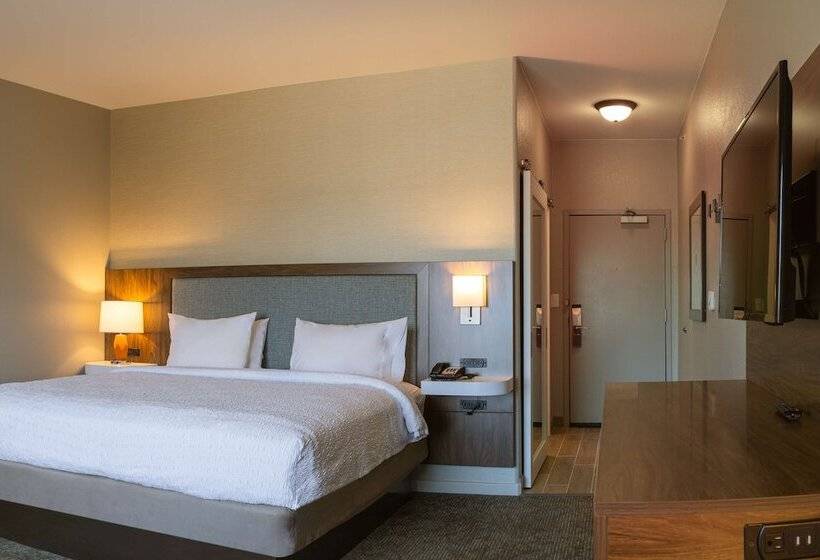 סטודיו סטנדרט, מיטה זוגית, Hampton Inn & Suites Boerne