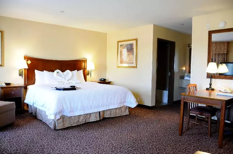 Standard-huone King-vuode, Hampton Inn & Suites Red Bluff