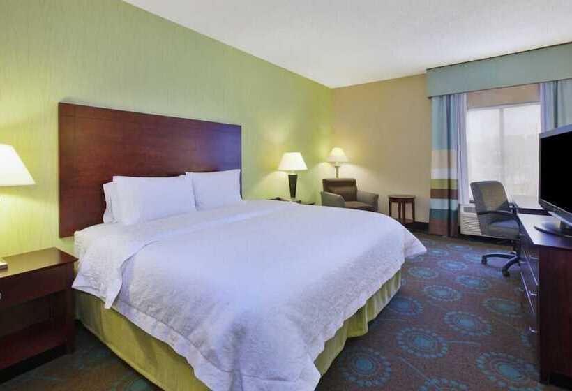 اتاق استاندارد با تخت بزرگ برای معلولان, Larkspur Landing South Bend