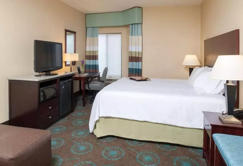 身障者適用キングサイズベッドルーム, Larkspur Landing South Bend