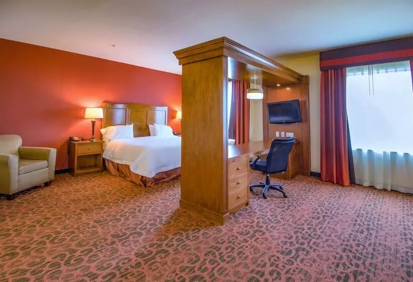 ダブルベッドのスタンダードスタジオ, Hampton Inn & Suites Bastrop
