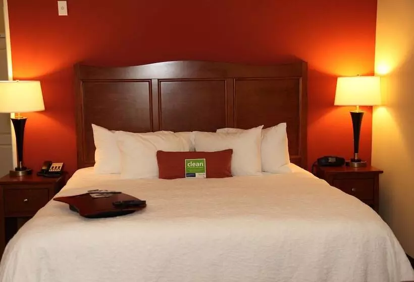 ダブルベッドのスタンダードスタジオ, Hampton Inn & Suites Bastrop