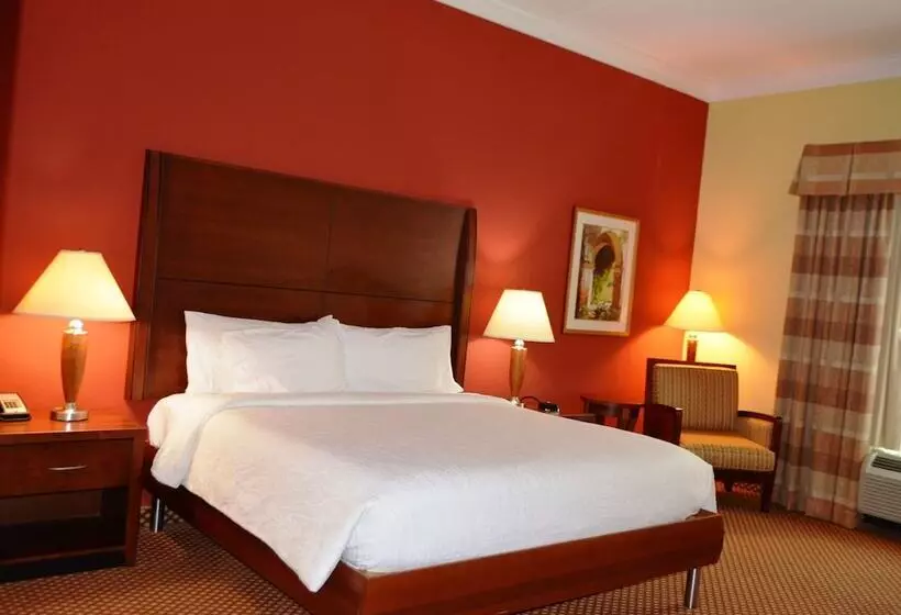 身障者適用スタンダードルーム, Hilton Garden Inn Houston West Katy