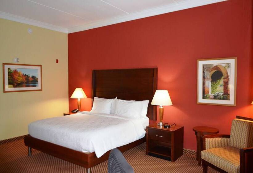 Номер Стандарт Адаптированный для Инвалидов, Hilton Garden Inn Houston West Katy