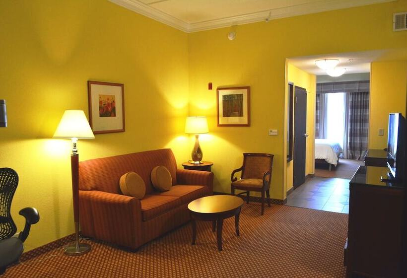 Номер Стандарт Адаптированный для Инвалидов, Hilton Garden Inn Houston West Katy