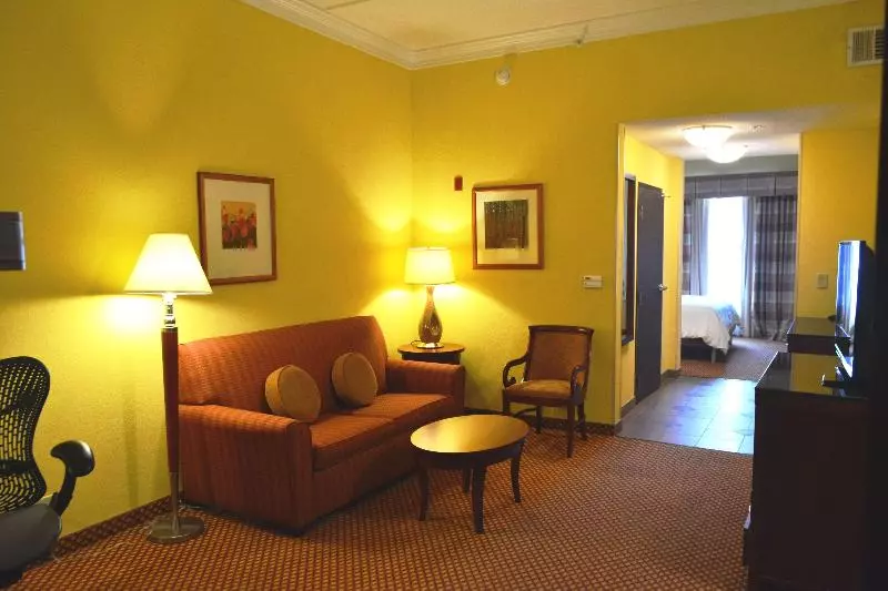 キングサイズベッドのスイートルーム, Hilton Garden Inn Houston West Katy
