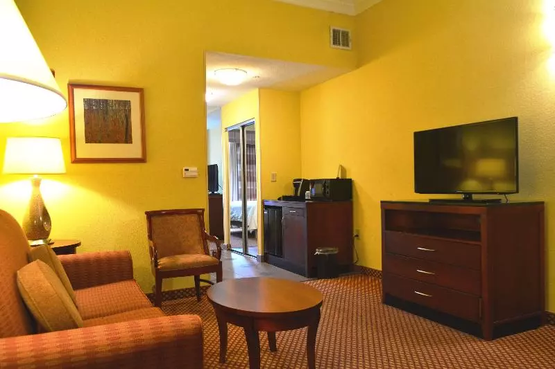 キングサイズベッドのスイートルーム, Hilton Garden Inn Houston West Katy