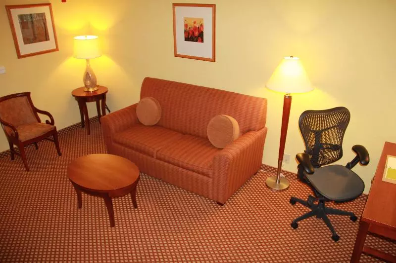 キングサイズベッドのスイートルーム, Hilton Garden Inn Houston West Katy