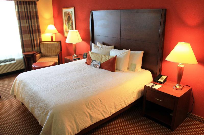 キングサイズベッドのスイートルーム, Hilton Garden Inn Houston West Katy