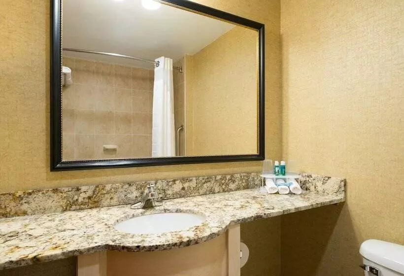 اتاق استاندارد با 2 تخت دوبل, Holiday Inn Express Wall Street, An Ihg Hotel