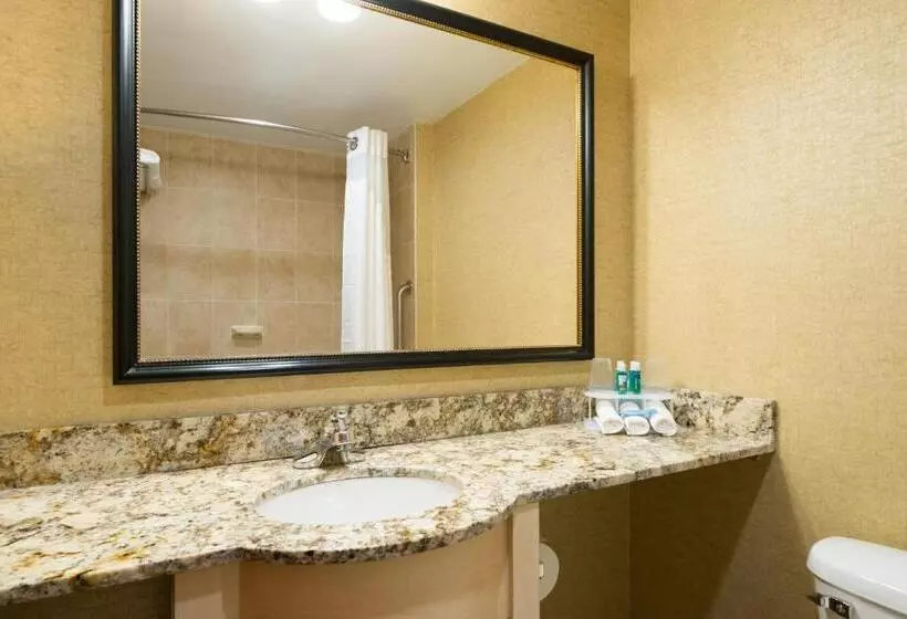 اتاق استاندارد با تخت بزرگ, Holiday Inn Express Wall Street, An Ihg Hotel