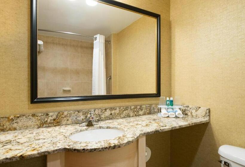 اتاق استاندارد با 2 تخت دوبل, Holiday Inn Express Wall Street, An Ihg Hotel