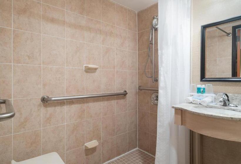 غرفة قياسية سرير كينج لذوى الإحتياجات الخاصة, Holiday Inn Express Wall Street, An Ihg Hotel