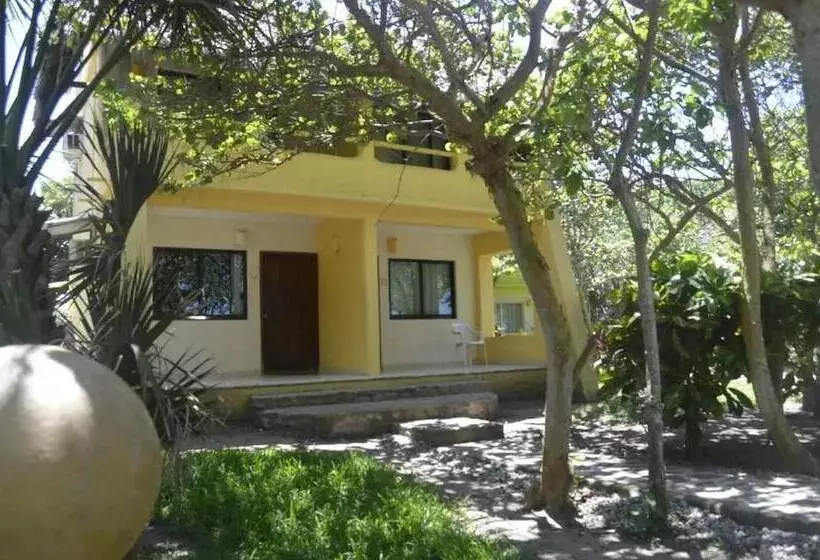 Basic-huone, Istirinchá