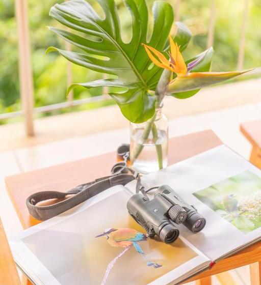 주니어 스위트, Boutique Lagarta Lodge