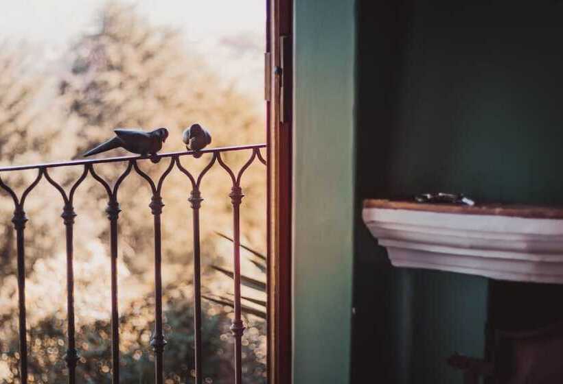 スタンダードルーム, Porton Del Cielo