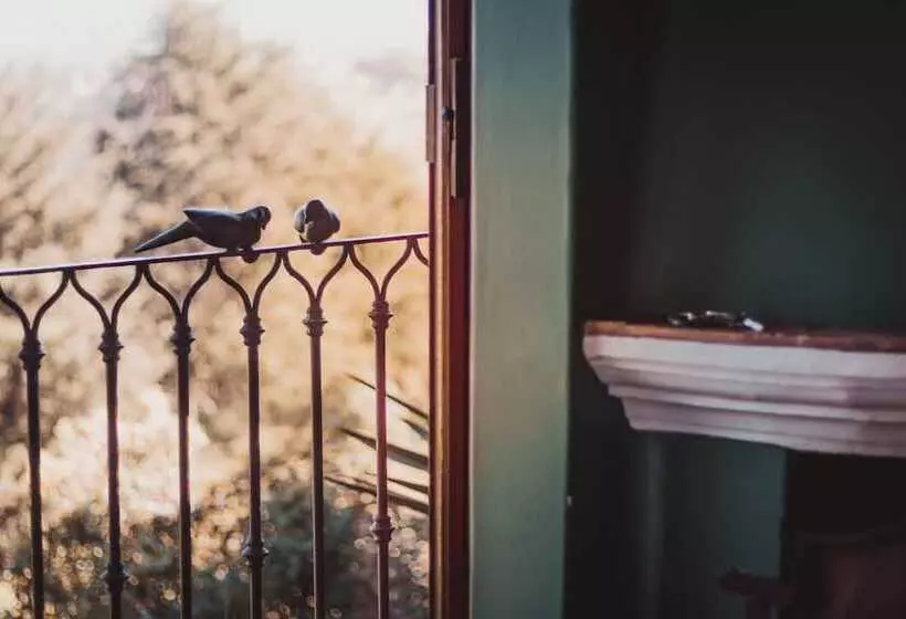スタンダードルーム, Porton Del Cielo