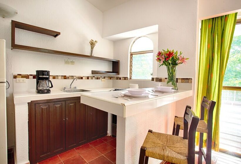 豪华套房, Suites Plaza Del Rio   Family Hotel Malecón Centro