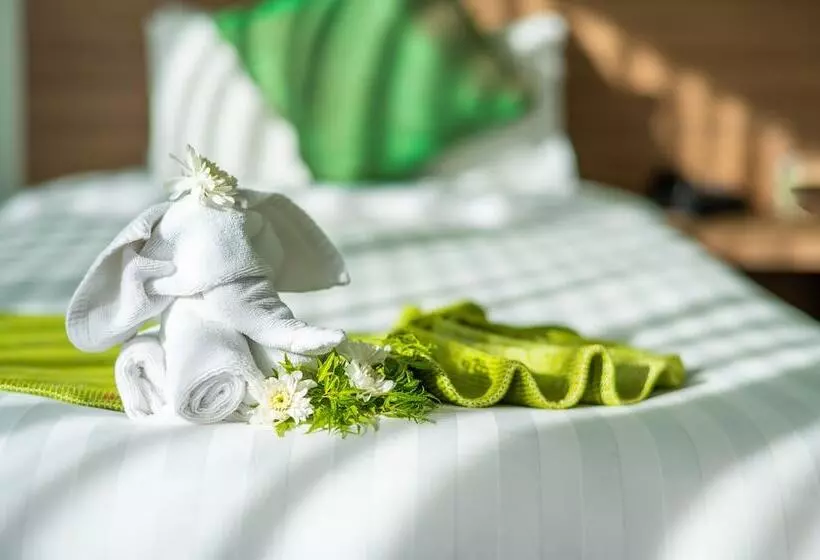 استودیوی استاندارد, The Lantern Resorts Patong Sha Extra Plus