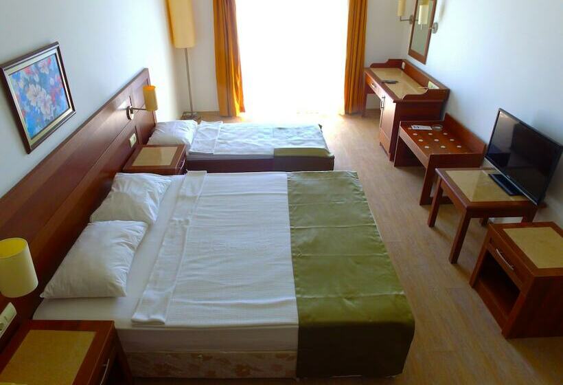 חדר אקונומי, Woxxie