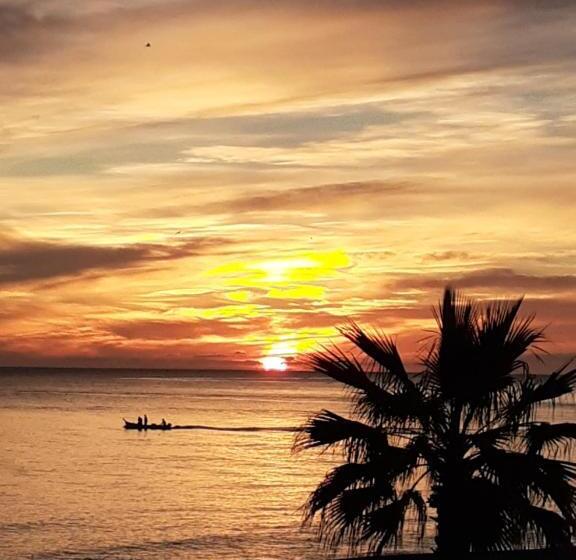 标准单人间, Omeya