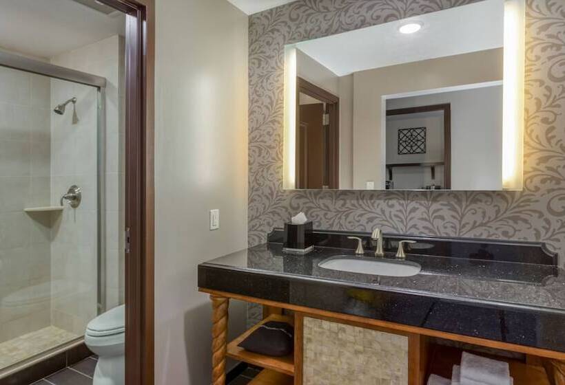 Семейный Номер, Wyndham Grand Orlando Resort Bonnet Creek
