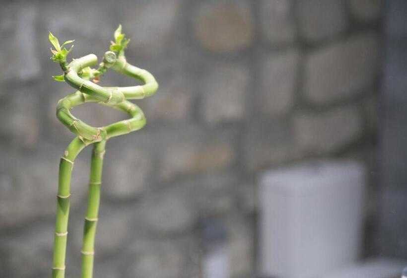 إستوديو قياسى, Apartamentos Turísticos La Casa Vieja