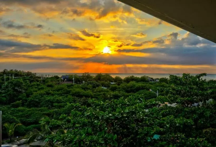 ジュニアスイート, Estelar Playa Manzanillo All Inclusive
