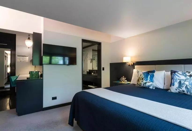 Executive-huone King-vuode, Spicers Balfour