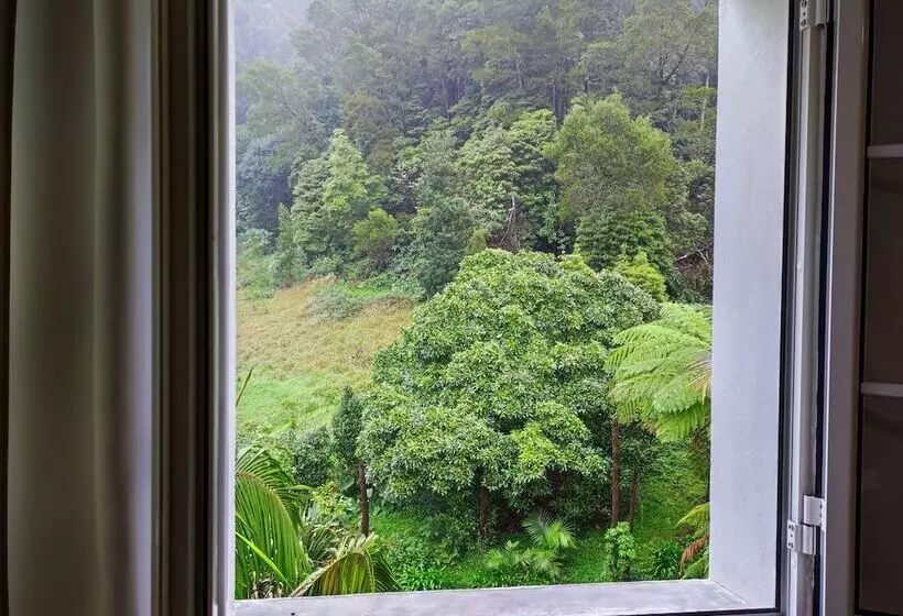 اتاق اکونومی, Vista Do Vale