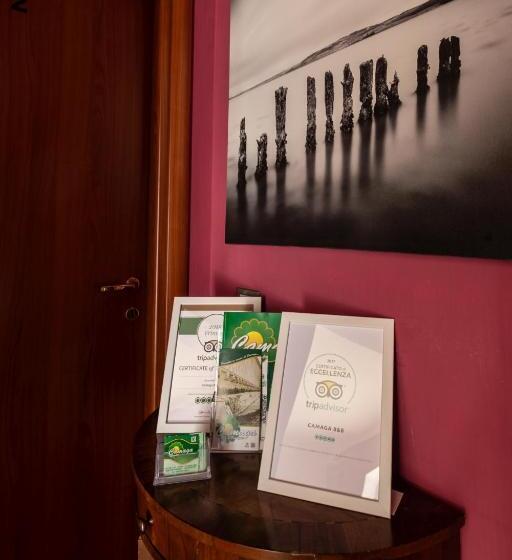 اتاق استاندارد, Camaga