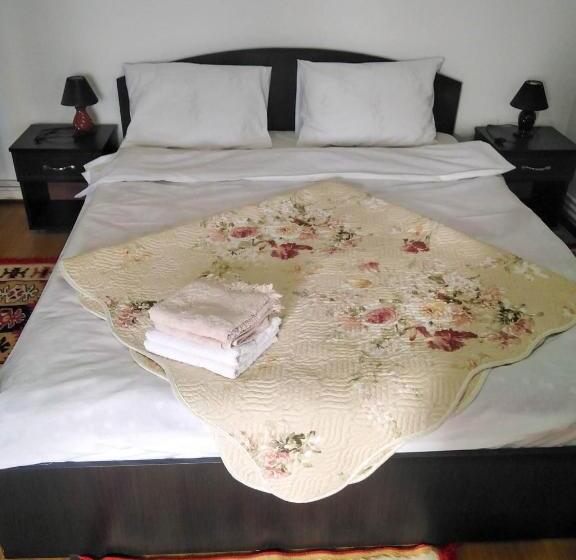 标准间, Casa La Agapia