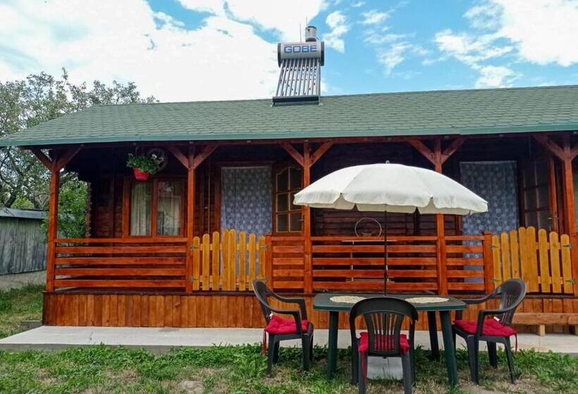 基本间, Casa La Agapia